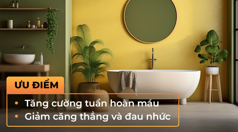 Ưu điểm bồn tắm Toto - Thiên Kim Home