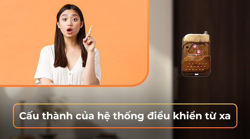 Cấu thành của hệ thống điều khiển từ xa