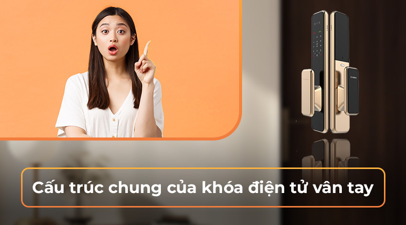 Cấu trúc chung của khóa điện tử vân tay