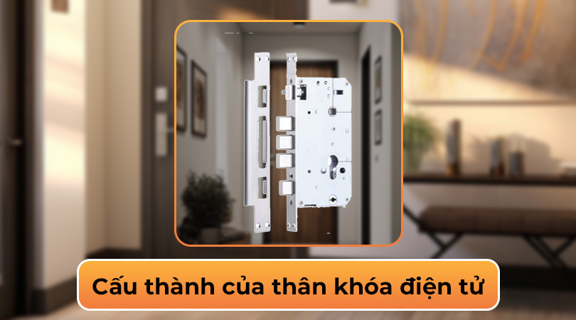 Cấu thành của thân khóa điện tử