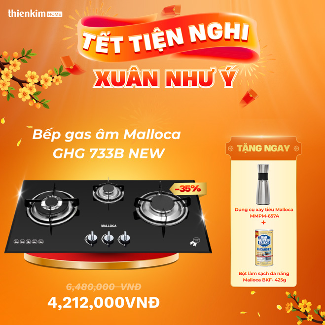 Xả Hàng Tồn Kho - bếp gas 2