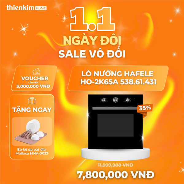 ngày đôi sale vô đối lò nướng 1