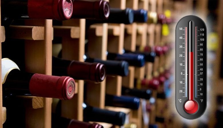 Hướng dẫn sử dụng tủ rượu Malloca - Bước 4: Lưu ý quan trọng