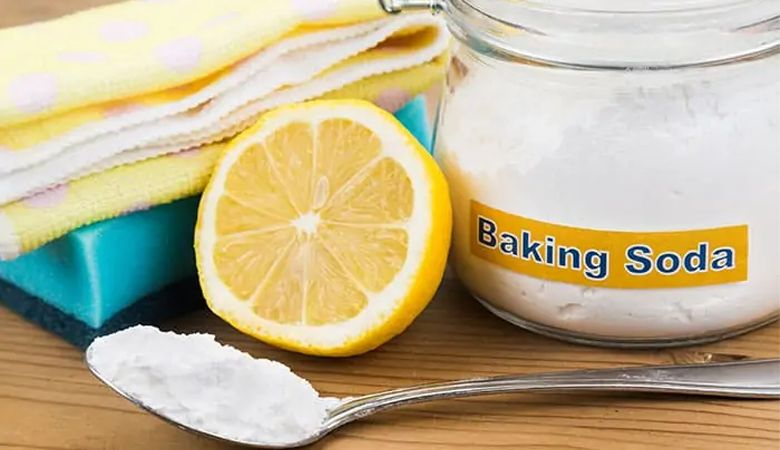 Cách khử mùi máy rửa chén Malloca