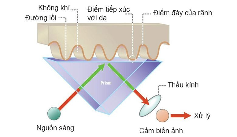 Cấu tạo chi tiết của thiết bị cảm biến