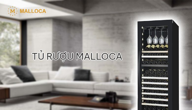 Tủ rượu Malloca - Điểm nhấn hoàn hảo cho mọi không gian - Tủ rượu Malloca trong phòng khách - Sang trọng và đẳng cấp