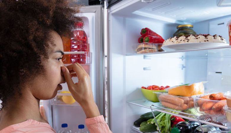 Nguyên nhân gây mùi hôi trong tủ lạnh Malloca - Thức ăn thối rữa trong tủ lạnh