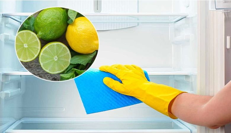 Mẹo khử mùi hôi tủ lạnh Malloca - Đặt một miếng vải thấm chanh hoặc giấm trắng trong tủ lạnh