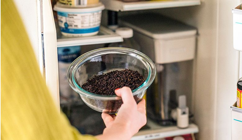 Mẹo khử mùi hôi tủ lạnh Malloca - Đặt một túi cà phê trong tủ lạnh