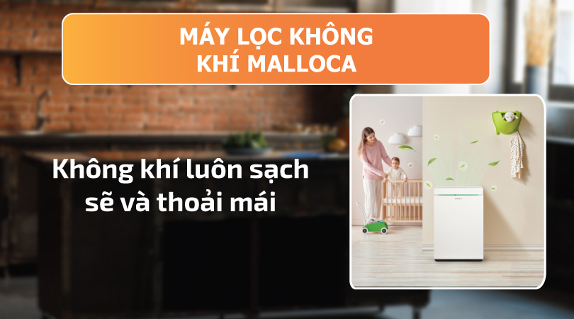 Máy lọc không khí Malloca